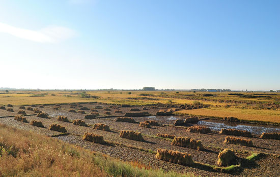 鳳凰山農(nóng)業(yè)發(fā)展有限公司